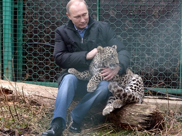 İşte Putin'in leoparı
