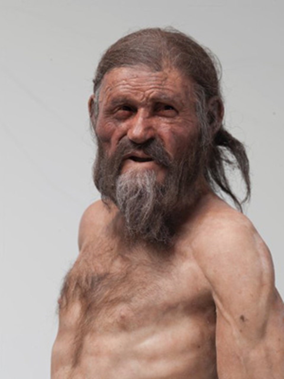 Buz adam Ötzi'nin bir sırrı daha çözülüyor