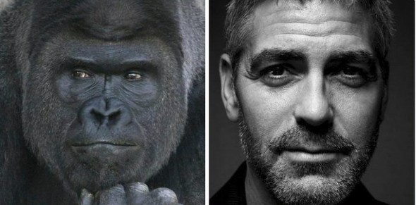 George Clooney kadar yakışıklı! Görenler hayret ediyor