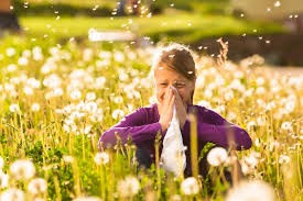 Bahar alerjisine ne iyi gelir?
