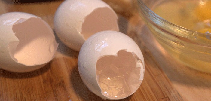 Yumurta kabuğunu fırınlayın!