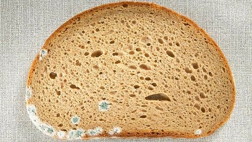 Küflenmiş ekmeği yemeyin