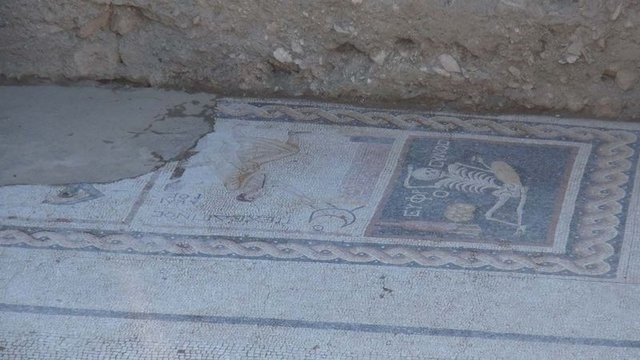 Mozaiğin sırrını Yunan arkeolog Sophia Aneziri açıkladı