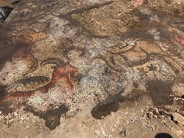 Mozaiğin sırrını Yunan arkeolog Sophia Aneziri açıkladı