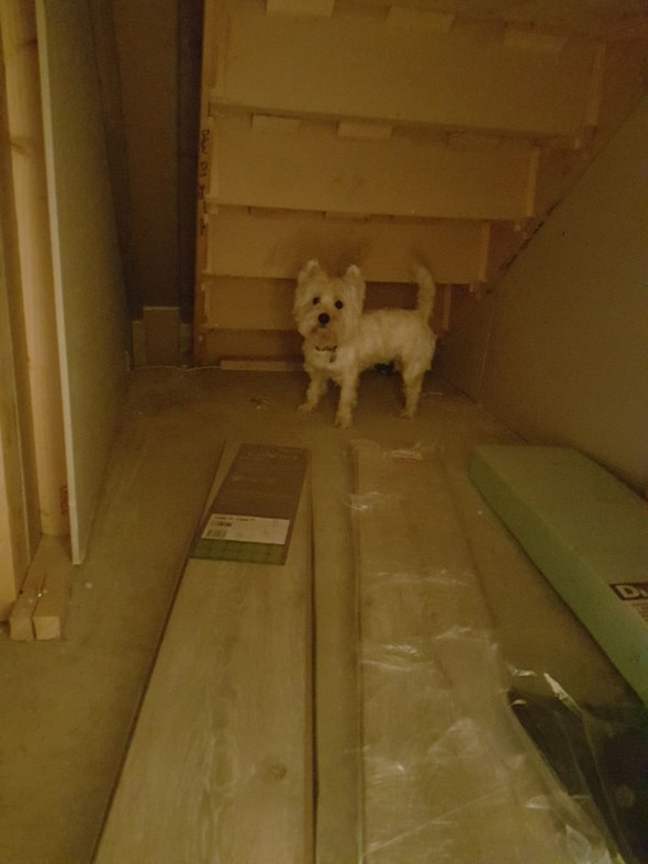 Merdiven altına müthiş bir ev hazırladı!