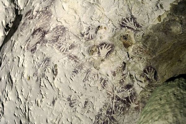 Borneo Adası'ndaki bir mağarada en eski hayvan resmi bulundu