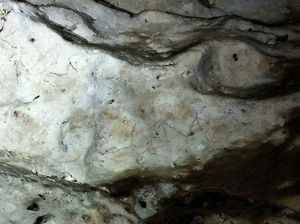 Borneo Adası'ndaki bir mağarada en eski hayvan resmi bulundu
