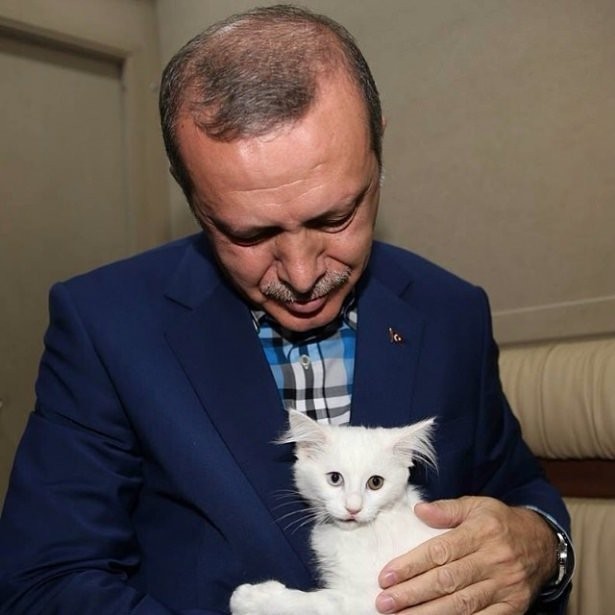 Cumhurbaşkanı Erdoğan'ın bir çoğunu ilk kez göreceğiniz fotoğrafları
