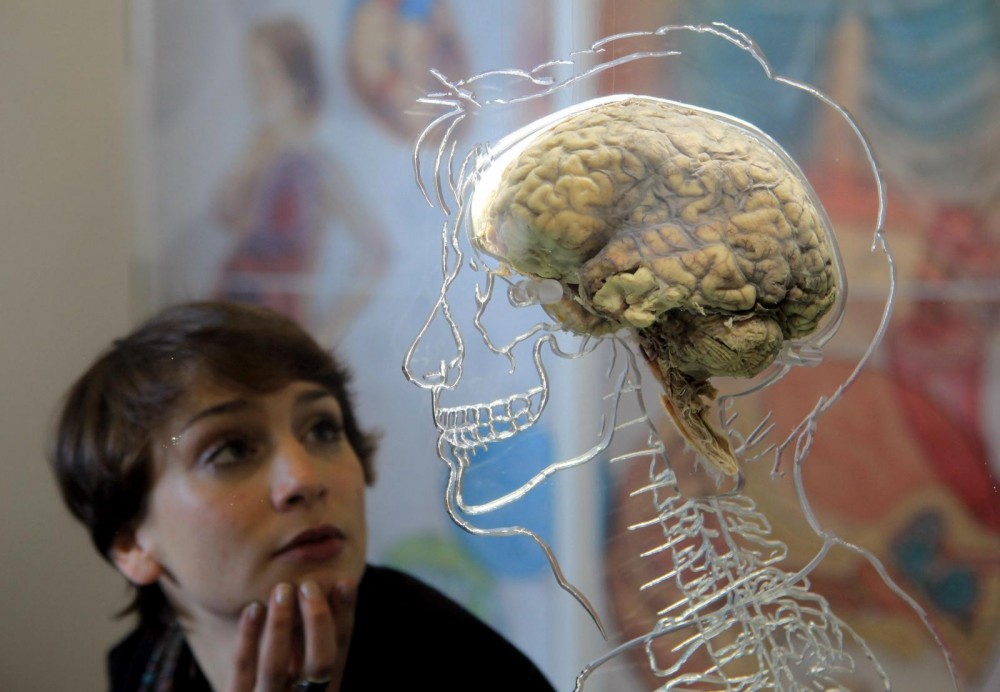 İnsan beyni hakkında bilinmeyen 27 gerçek