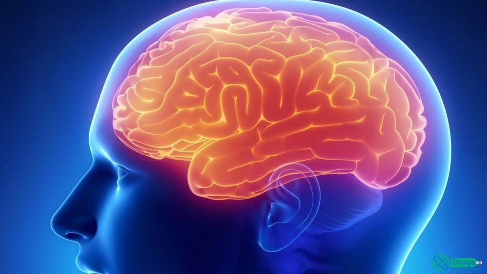 İnsan beyni hakkında bilinmeyen 27 gerçek