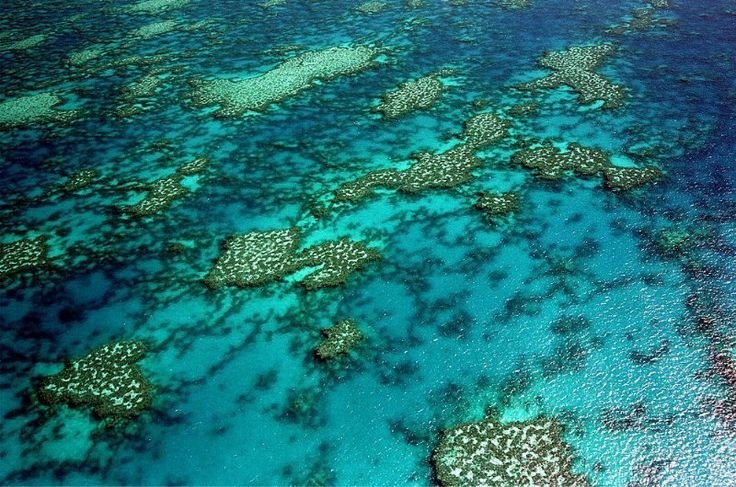 Mercan kayalıklarına 400 milyon dolar bütçe