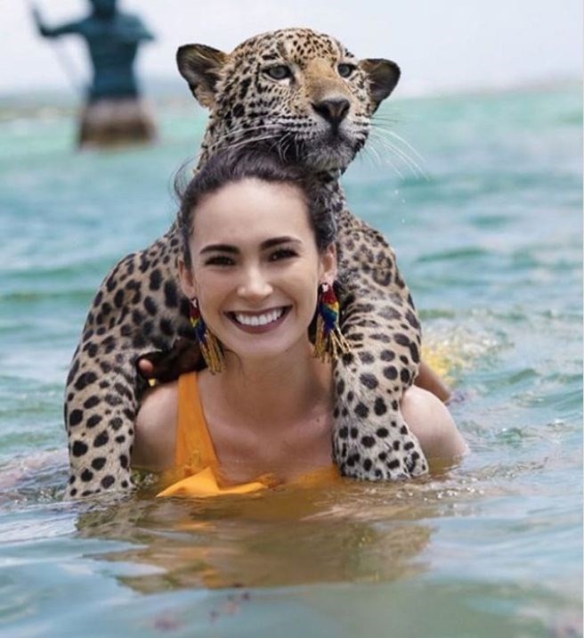  Jaguarlarla yüzüp, fotoğraf çektirmek 40 euro 