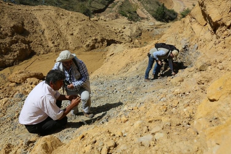Türkiye'de bir ilk olan doğal kehribar incelemeye alındı