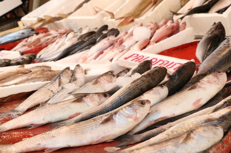Türk balığı dünyada aranan balık haline geldi