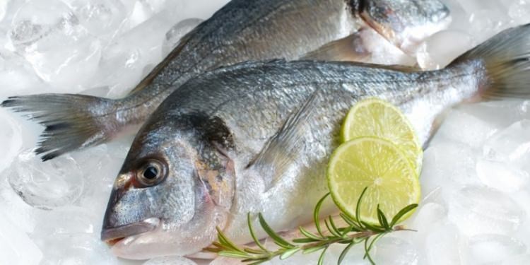 Taze balık mı dondurulmuş balık mı daha sağlıklı?