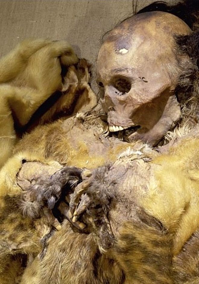 500 yıllık keşif! Annesi öldü diye canlı canlı gömüldü