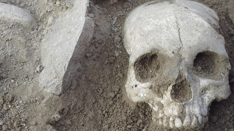  3 bin 500 yıllık insan kafatası ve sol uyluk kemiği bulundu