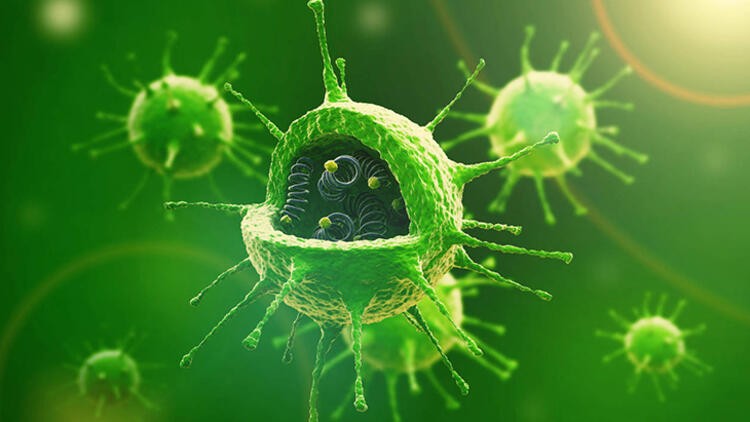 19 yıl sonra ilk kez yeni bir HIV virüsü keşfedildi