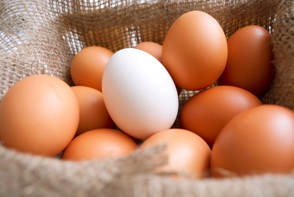 Organik yumurta nasıl anlaşılır?