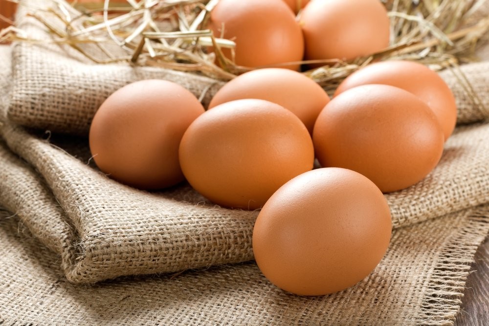 Organik yumurta nasıl anlaşılır?