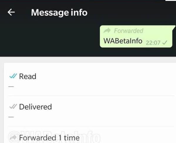 WhatsApp'a bu sabah bomba bir özellik geldi
