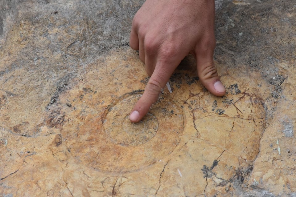 Adıyaman'da dev salyangoz fosili bulundu
