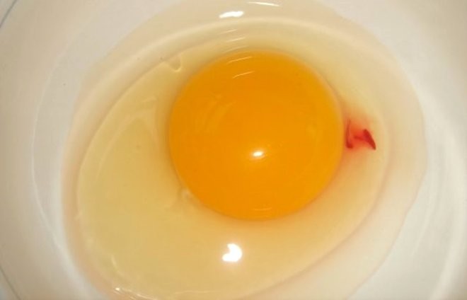 Kan lekeli yumurta yenir mi?