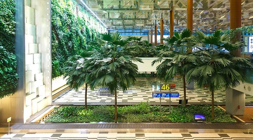 Botanik parkını andıran havalimanı
