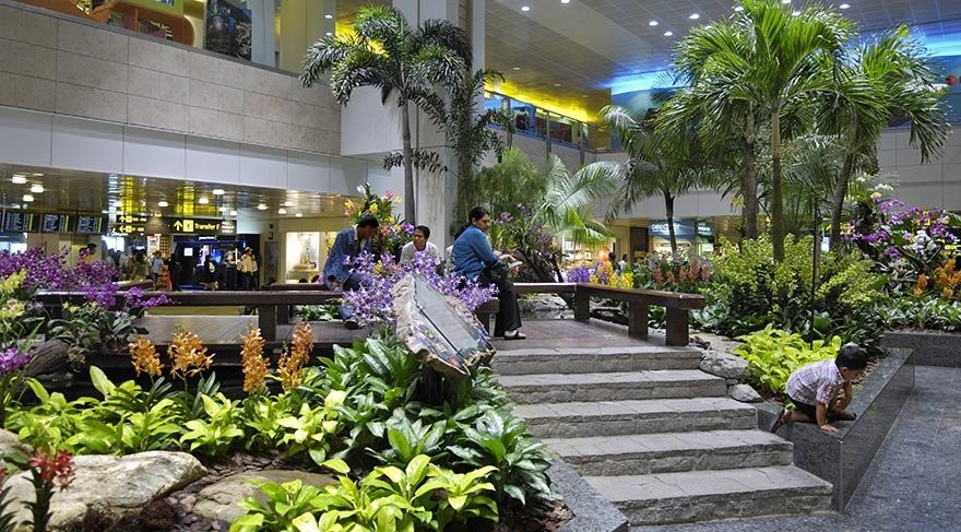 Botanik parkını andıran havalimanı