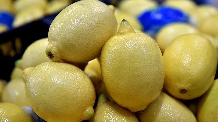 Haziranda en fazla limonun fiyatı arttı