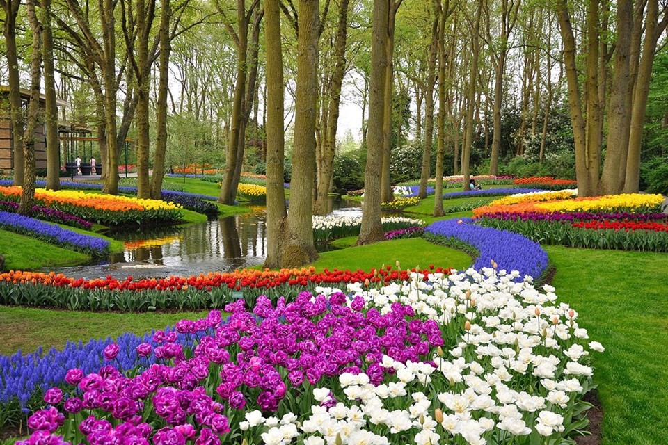 İşte dünyanın en güzel bahçeleri 