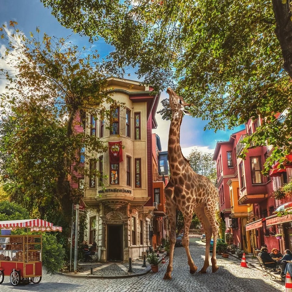 Hayrete düşürecek İstanbul'dan fantastik manzaralar