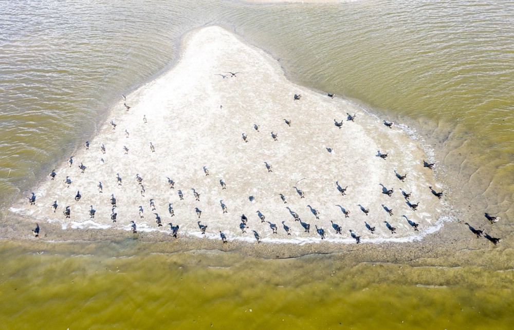 Sel Kapanı Göleti'nde oluşan adacıklar havadan görüntülendi