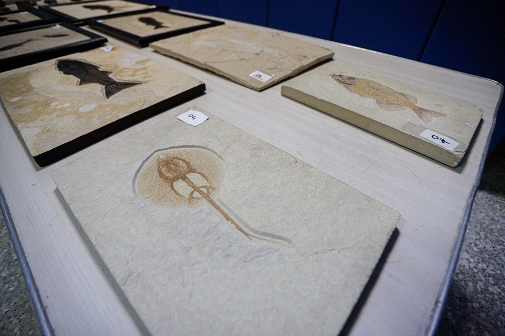 Adnan Oktar'ın kaçak fosilleri 417 milyon yıl öncesine ait çıktı