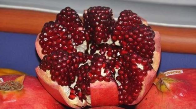Bağışıklığı güçlendiren vitamin deposu kış meyveleri