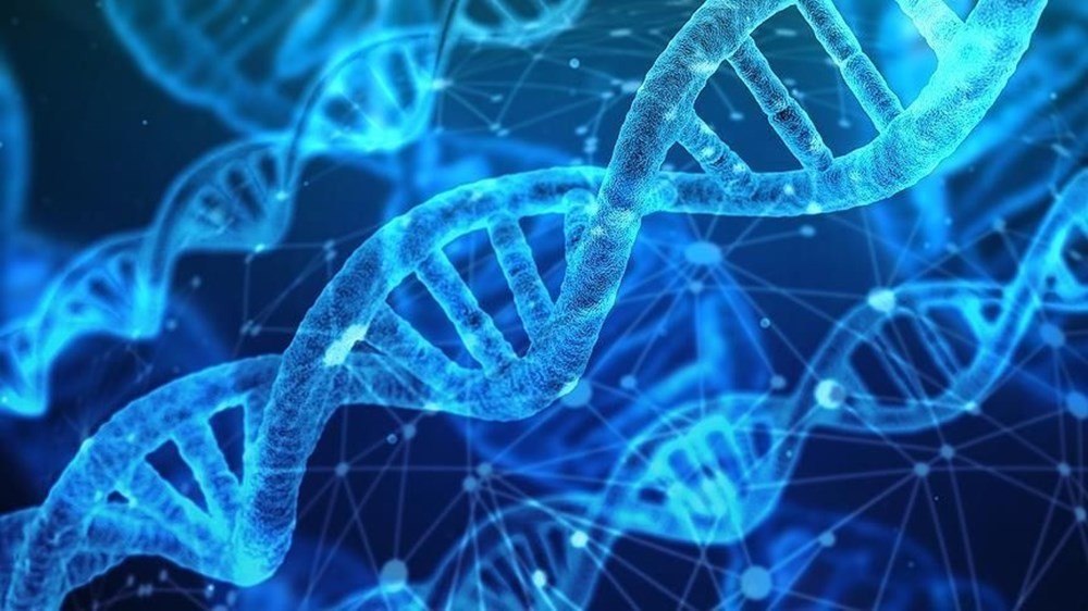 Bilim insanları 'anahtar gen'i keşfetti