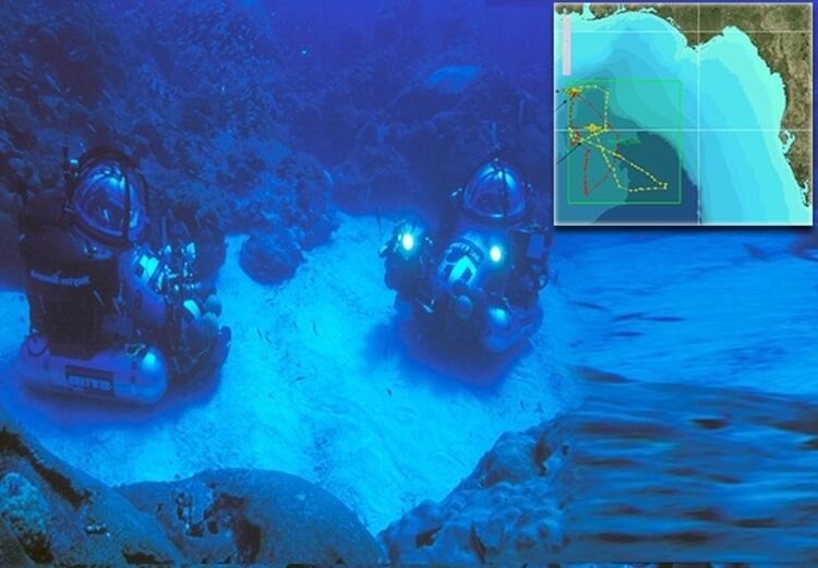 Bilim insanlarını şaşırtan olay! Okyanusun altında ortaya çıktı...