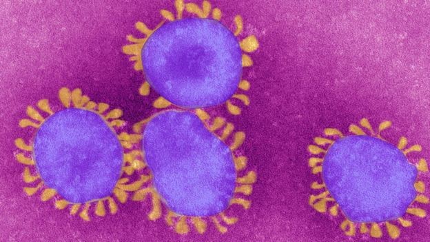 Korona virüsün gerçek kaynağı ne?