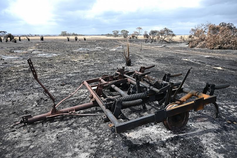 Avustralya'daki yangınlarda ülkedeki ormanların beşte biri yok oldu