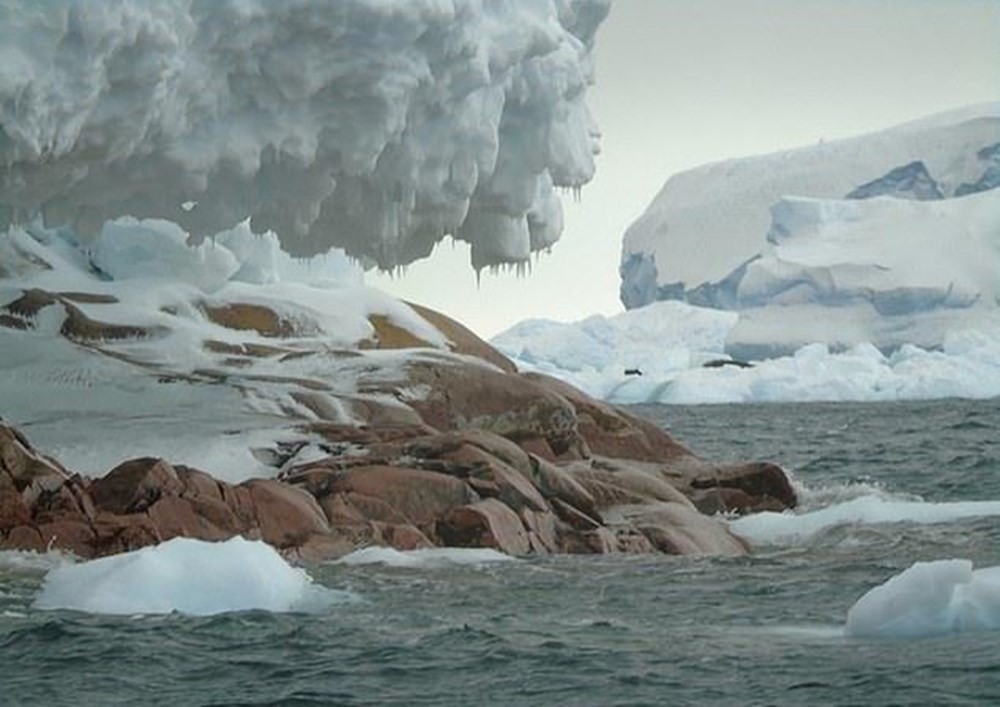 Antarktika'da ada keşfedildi