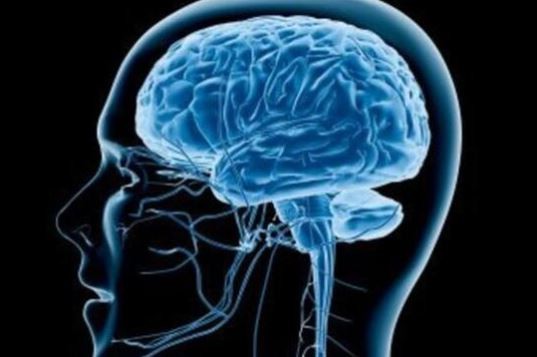 Beyin hakkında 24 şaşırtıcı gerçek