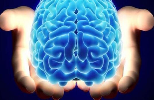 Beyin hakkında 24 şaşırtıcı gerçek