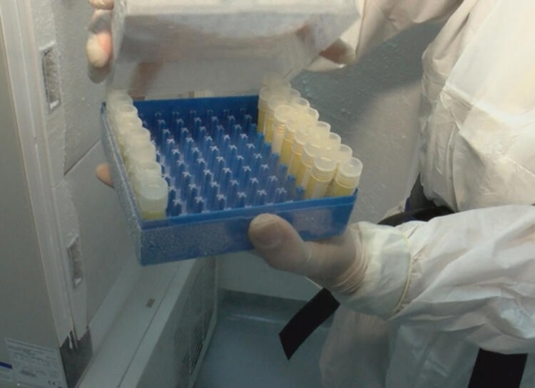Korona virüs için ilaç üreten ve aşı geliştiren tek tesis ilk kez görüntüledi!