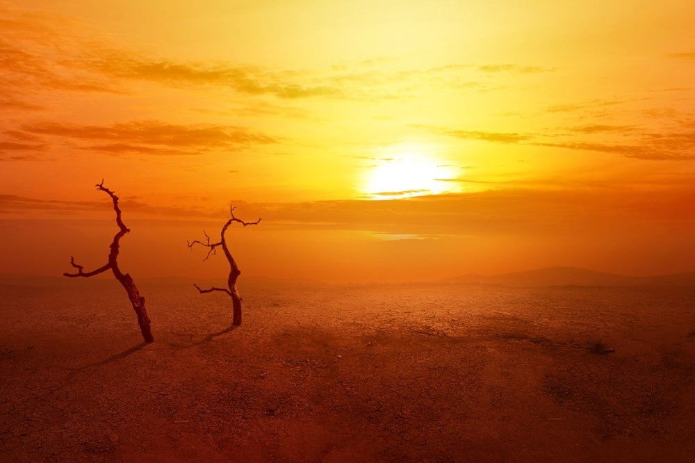 Küresel sıcaklıklar 2300 yılında 50 milyon yıldır görülmeyen seviyeye ulaşacak