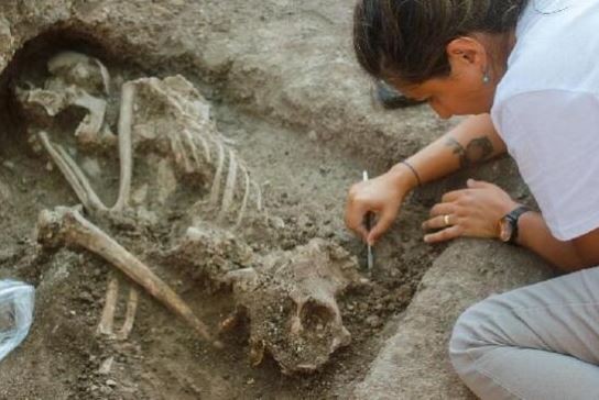 Bilecik’te bulunan 8 bin 500 yıllık insan iskeletinin DNA’sı incelenecek