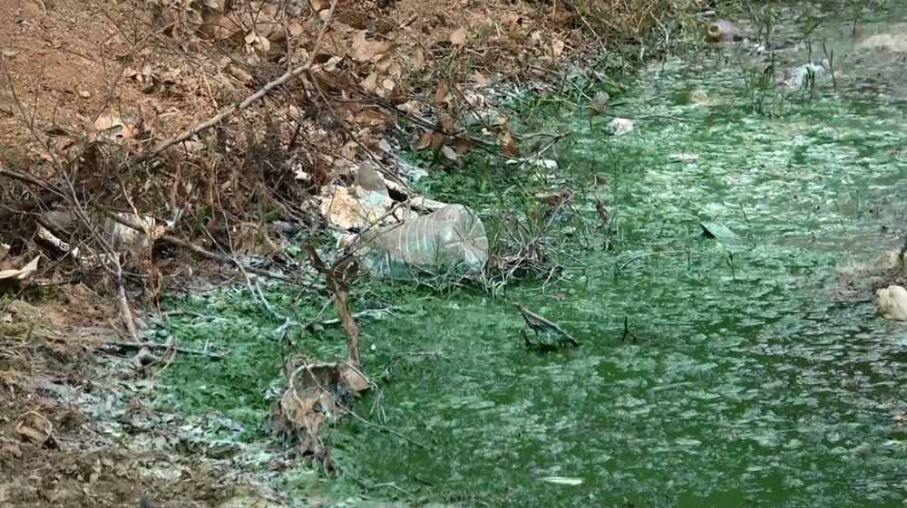 Eyüpsultan'da göle kimyasal atık boşalttılar