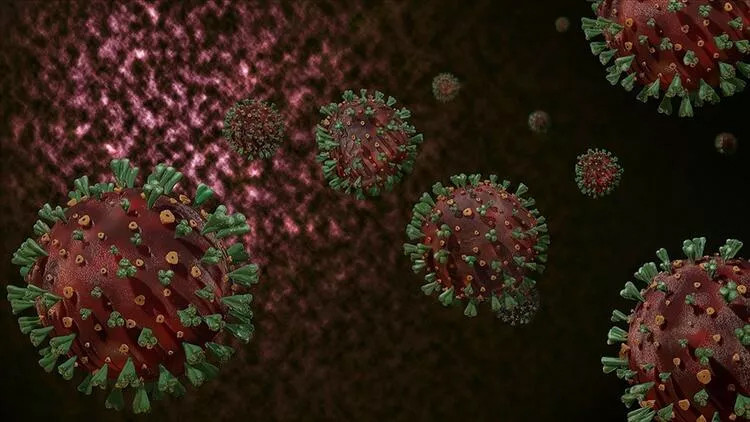 Aşılar bile değişebilir: Kovid testleri neden negatif çıkıyor?