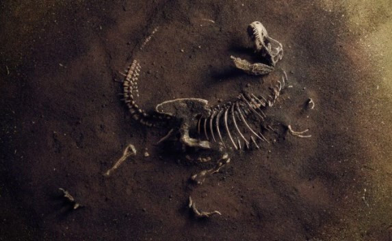  Dünyanın en uzun dinozoru bulunmuş olabilir