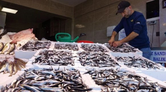 Karadeniz'de balık stoğu azalıyor