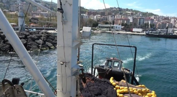 Karadeniz'de balık stoğu azalıyor